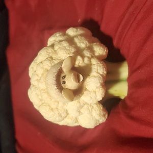 Enesco Home Grown 2004 Cauliflower Sheep Decor